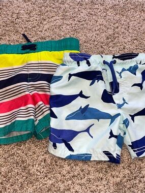 Toddler boy swim suits size 2T Cat and Jack and Carters
